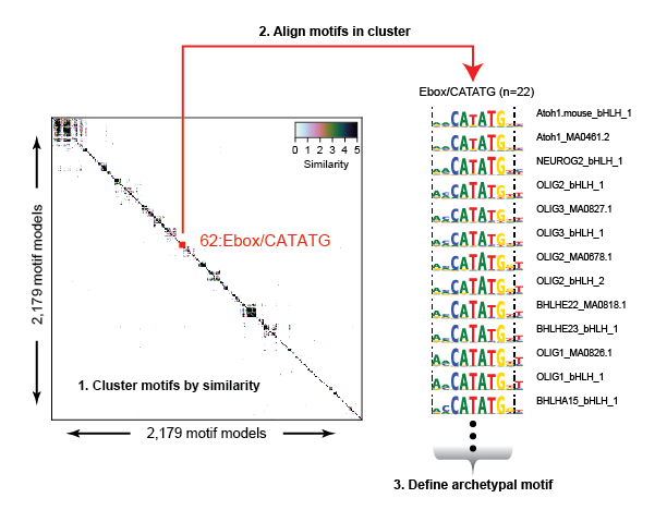 Motif clustering workflow